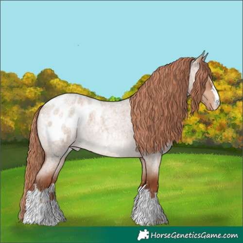 Horse Color:Red Dun Roan Blanket 