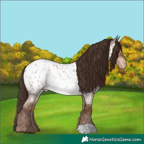 Horse Color:Liver Red Dun Roan Near Leopard