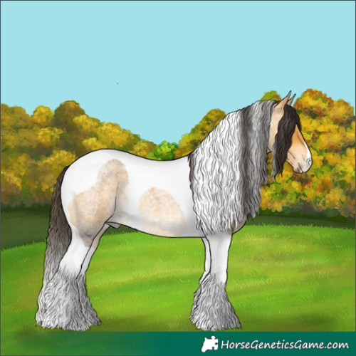 Horse Color:Buckskin Roan Tobiano 