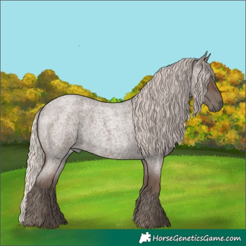 Horse Color:Silver Blue Roan