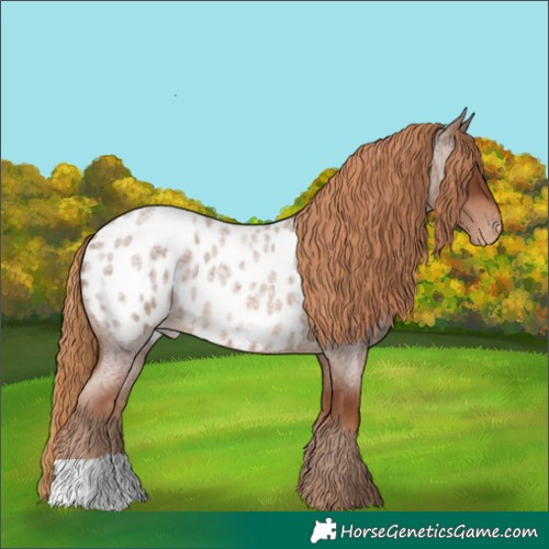 Horse Color:Red Roan Blanket 
