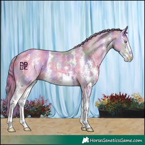 Horse Color:Nacre Perlino Sabino 