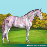 Horse Color:Nacre Perlino Sabino 