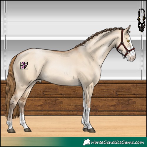 Horse Color:Brown Pearl Dun Sabino 