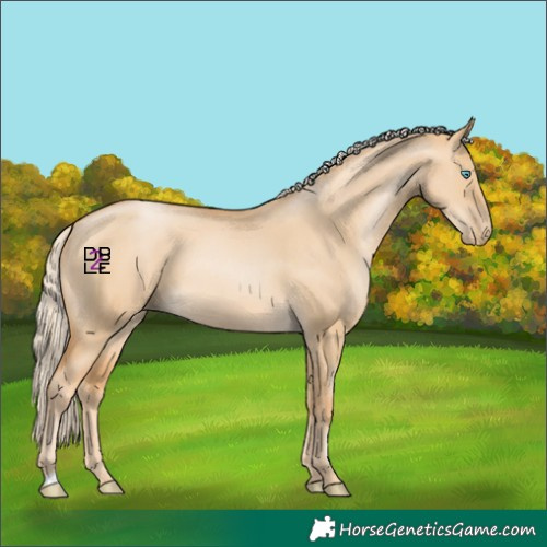 Horse Color:Palomino Pearl Dun 