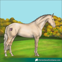 Horse Color:Palomino Pearl Dun