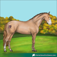 Horse Color:Bay Pearl Sabino