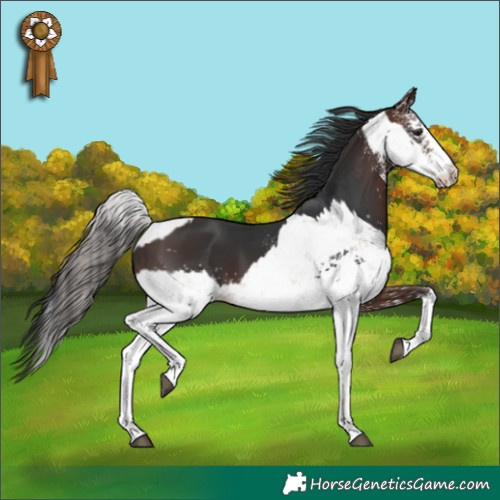 Horse Color:White Spotted Bay Dun Sabino Rabicano and White Spotted Brown