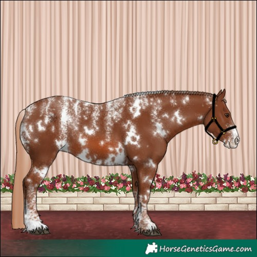 Horse Color:Powder White White Spotted Chestnut 