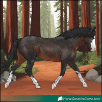 Horse Color:Brown 