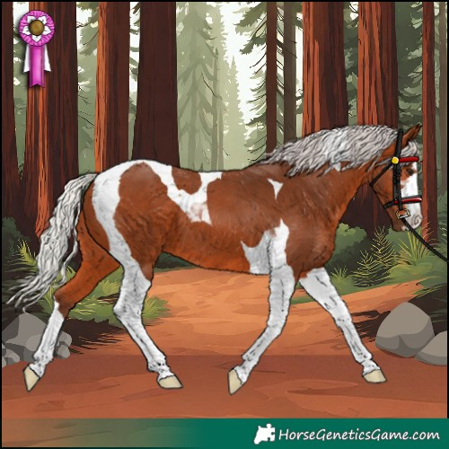 Horse Color:Silver Bay Tobiano 