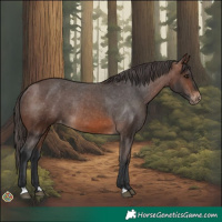 Horse Color:Brown Varnish Rabicano 