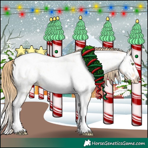 Horse Color:Gold Champagne Roan Dun Splash Tobiano Frame Appaloosa Rabicano 
