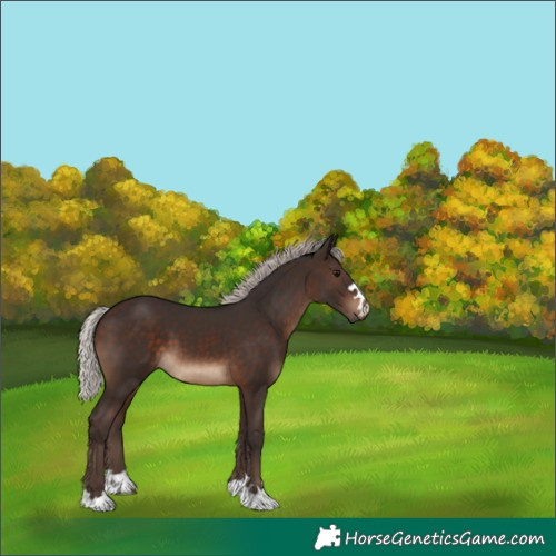Horse Color:Silver Brown 