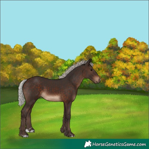 Horse Color:Silver Brown 