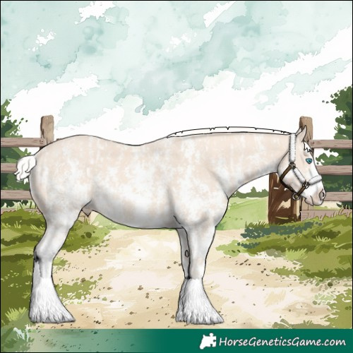 Horse Color:Cremello Sabino  and Cremello Sabino Splash 