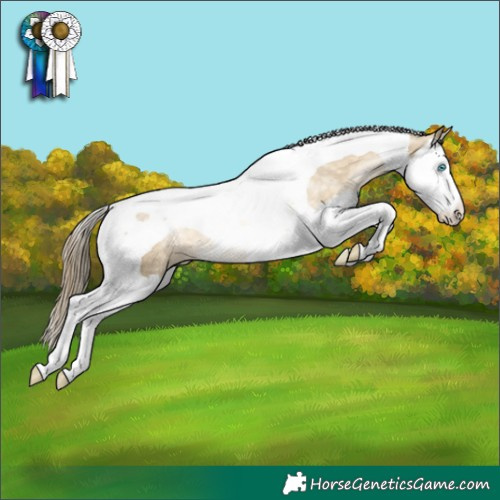 Horse Color:Buckskin Pearl Dun Splash Tobiano Rabicano 