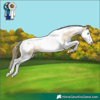 Horse Color:Buckskin Pearl Dun Splash Tobiano Rabicano