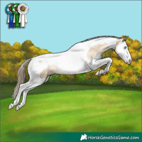 Horse Color:Buckskin Pearl Dun Splash Tobiano Rabicano
