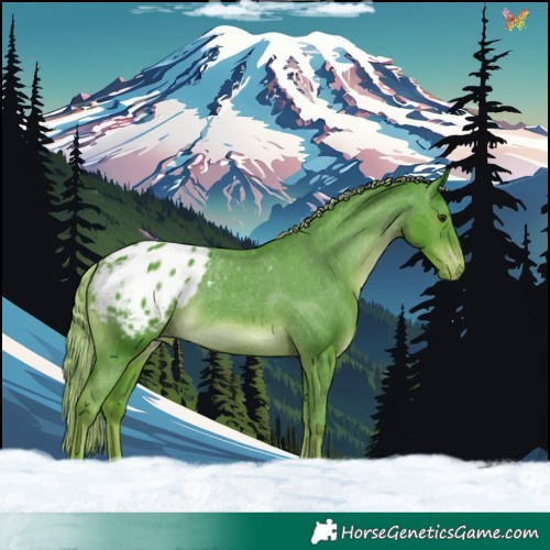 Horse Color:Watercolor Liver Chestnut Appaloosa Rabicano 
