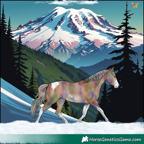 Horse Color:Nacre Silver Bay Dun Sabino Tobiano Rabicano 