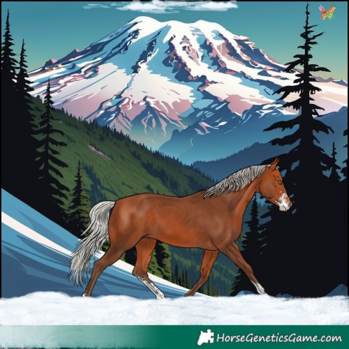 Horse Color:Silver Bay Sabino 