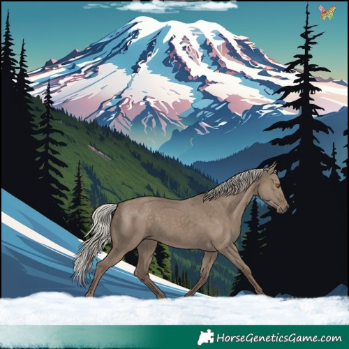 Horse Color:Silver Grullo 
