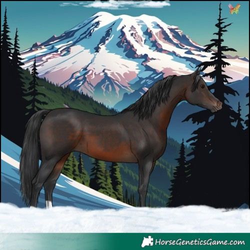 Horse Color:Brown Tobiano 