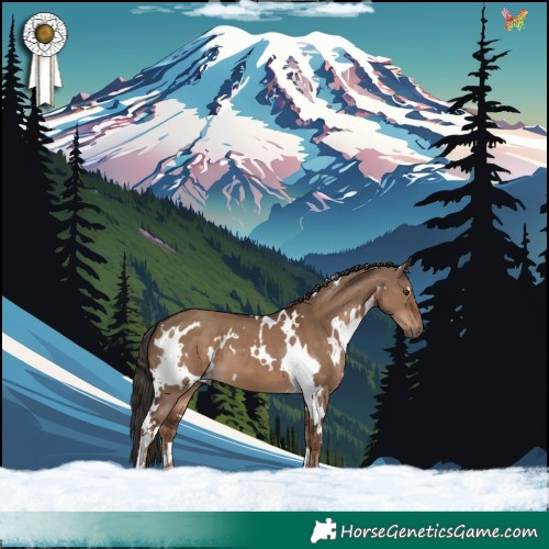 Horse Color:White Spotted Liver Red Dun 