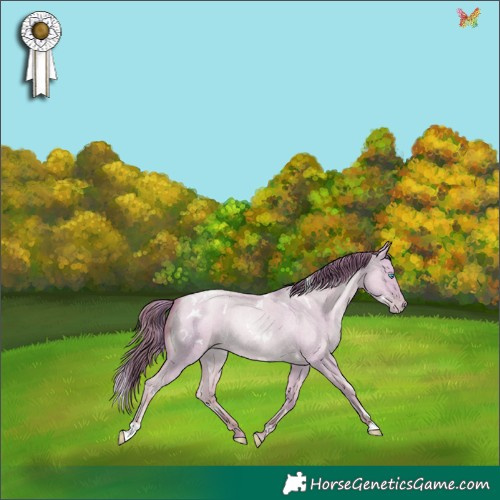 Horse Color:Watercolor White Spotted Classic Cream Champagne Roan Pearl Dun 