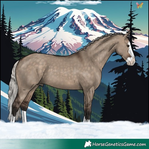Horse Color:Silver Brown Dun Splash 