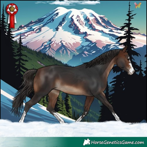 Horse Color:Brown 