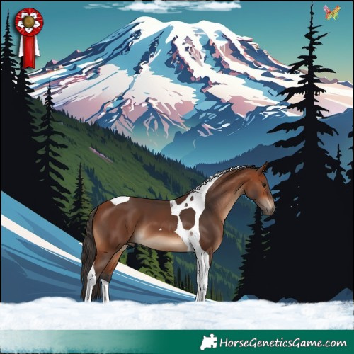 Horse Color:Bay Tobiano 