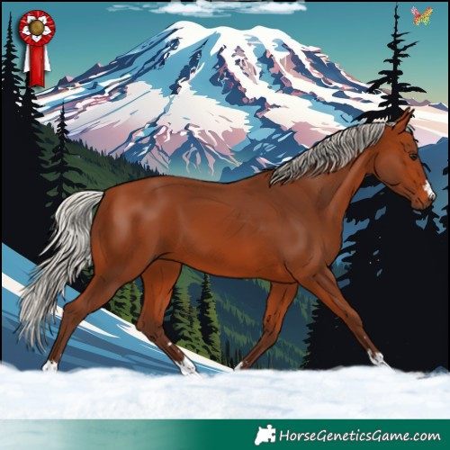 Horse Color:Silver Bay 