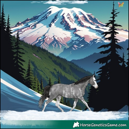 Horse Color:Smoky Blue Roan Sabino Splash 