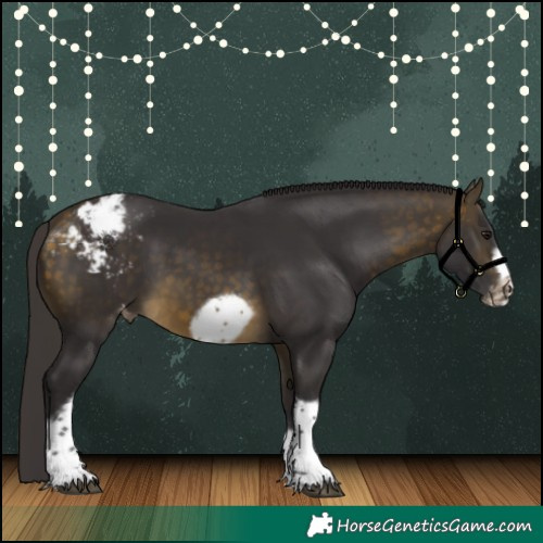 Horse Color:Buckskin Tobiano Frame Varnish Rabicano 