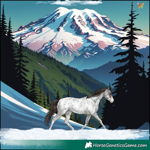 Horse Color:Liver Red Roan Sabino Appaloosa 