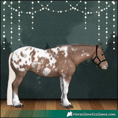 Horse Color:White Spotted Silver Black Tobiano Frame Appaloosa