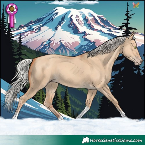 Horse Color:Silver Classic Champagne Dun Tobiano Rabicano 