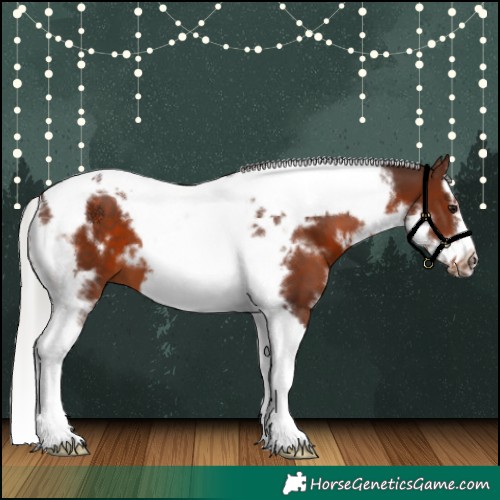 Horse Color:White Spotted Silver Brown Splash Tobiano Frame 