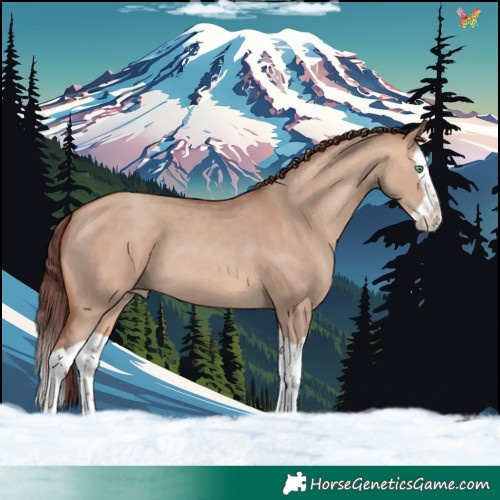 Horse Color:Chocolate Sable Champagne Dun Splash 