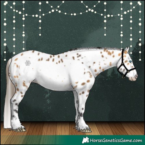 Horse Color:White Spotted Buckskin Frame Appaloosa Rabicano