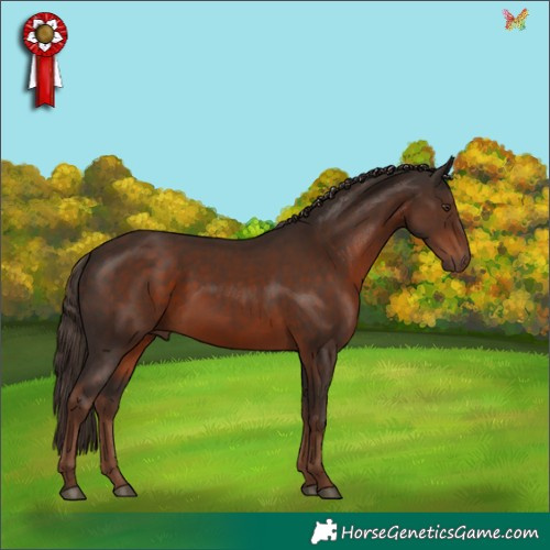 Horse Color:Liver Chestnut 