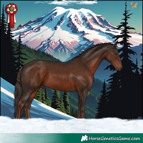 Horse Color:Liver Chestnut 