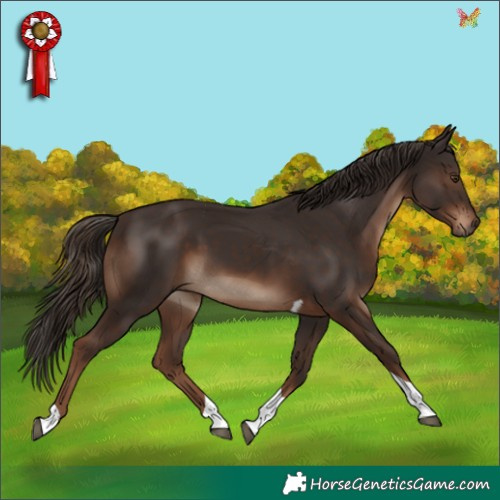 Horse Color:Liver Chestnut Tobiano 