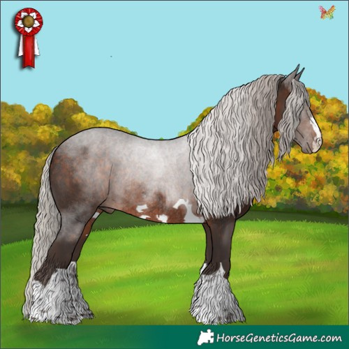 Horse Color:Silver Brown Rabicano