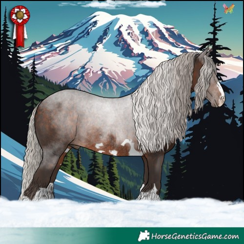 Horse Color:Silver Brown Rabicano 