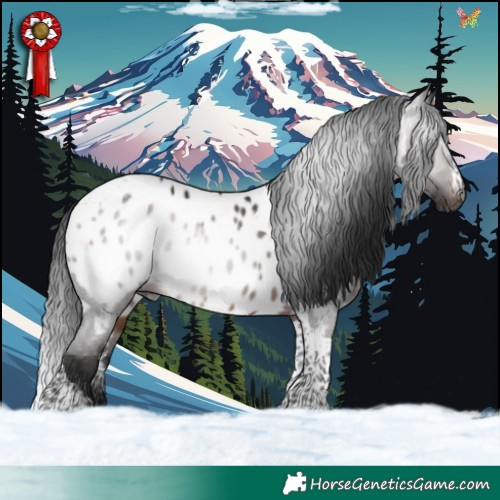 Horse Color:Gray Brown Tobiano Appaloosa Rabicano 