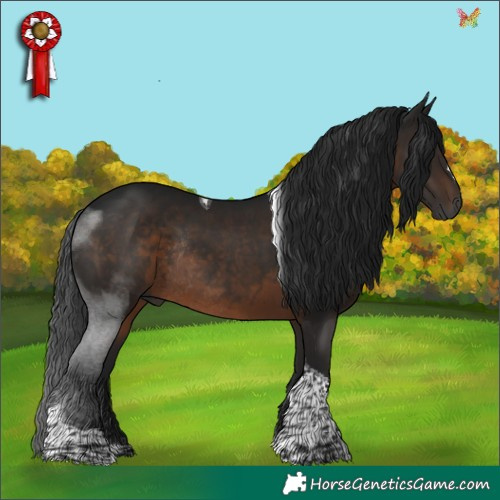 Horse Color:Gray Brown Tobiano Rabicano 