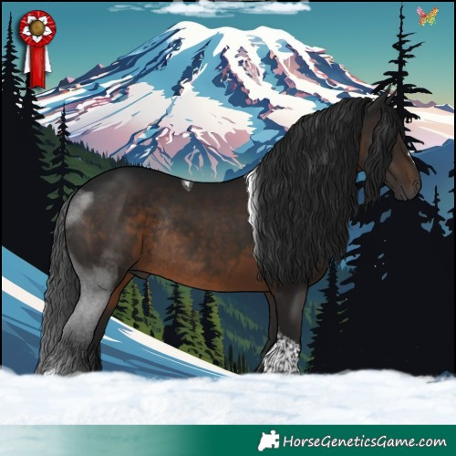 Horse Color:Gray Brown Tobiano Rabicano 